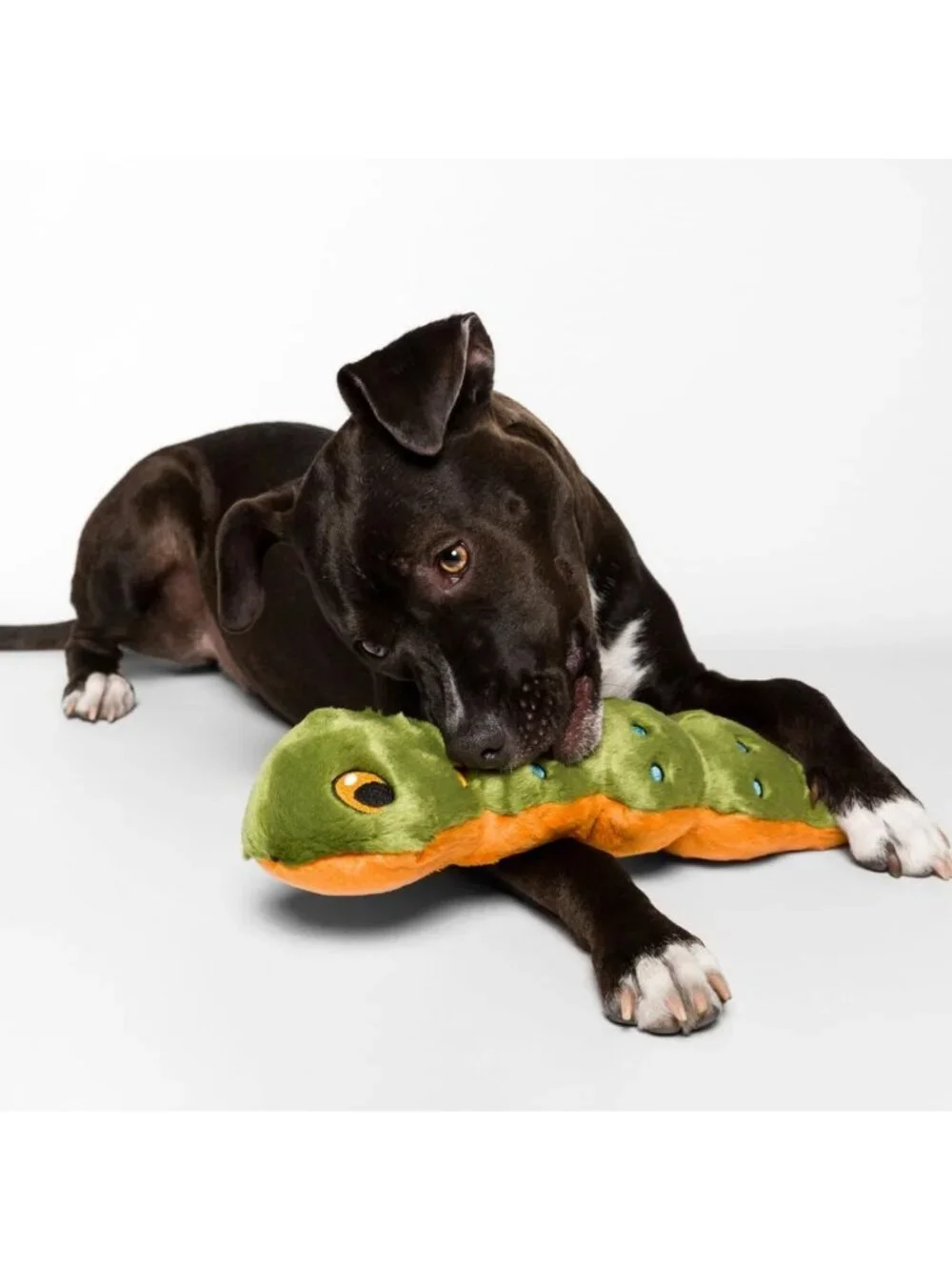 Soft Plush Caterpillar Toy | Durable, Squeaky, Perfect for Dogs & Puppies